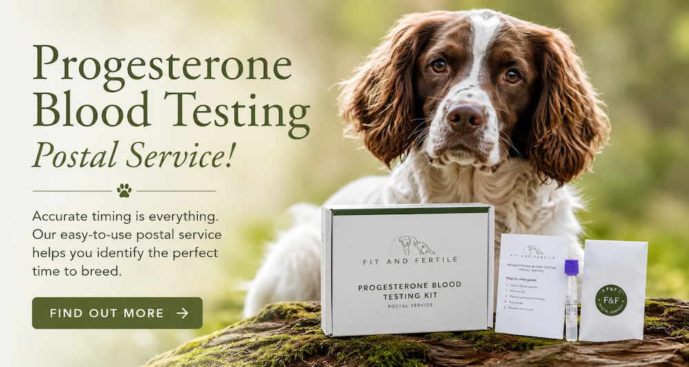 Progesterone Blood Testing Postal Service